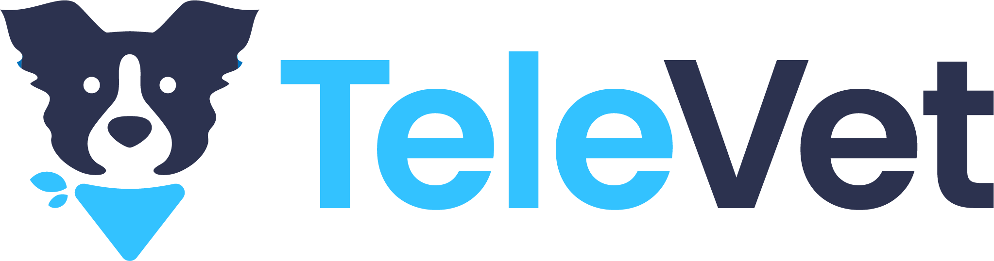 TeleVet_Temp_Logo.png